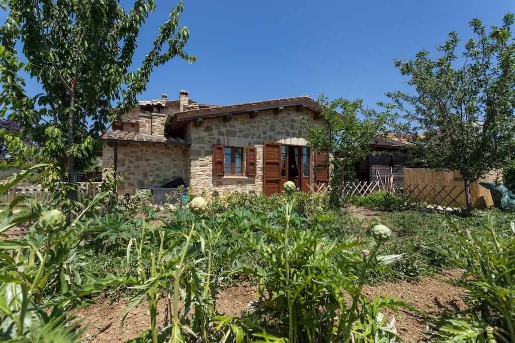 Il Belvederino Bed and Breakfast Brufa Buitenkant foto